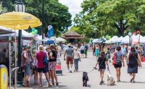 Riverside QUT InFusion Markets